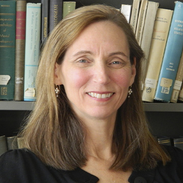 Anne Dailey
